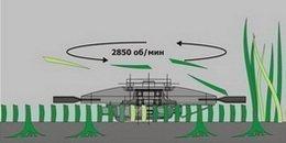 ОбраCareful attitude to the root system