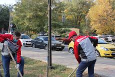 Новые деревья в городском парке от Ростсельмаш