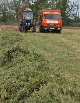 Trailer forage harvester Sterh