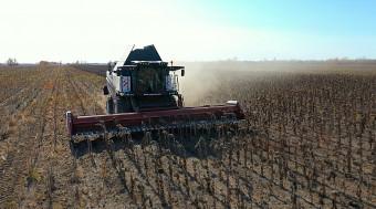 Подсолнечная безрядковая жатка Sun Stream