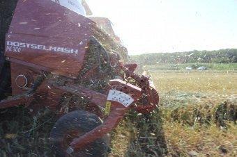 Подборщик кормоуборочный навесной For Up 300/400