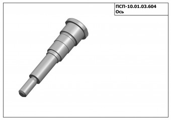 Запасные части ПСП 10.01.03.604 Ось