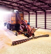 Неутомимые труженики