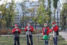 Новые деревья в городском парке от Ростсельмаш