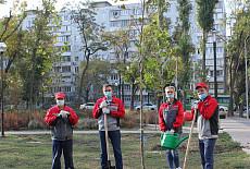 Новые деревья в городском парке от Ростсельмаш